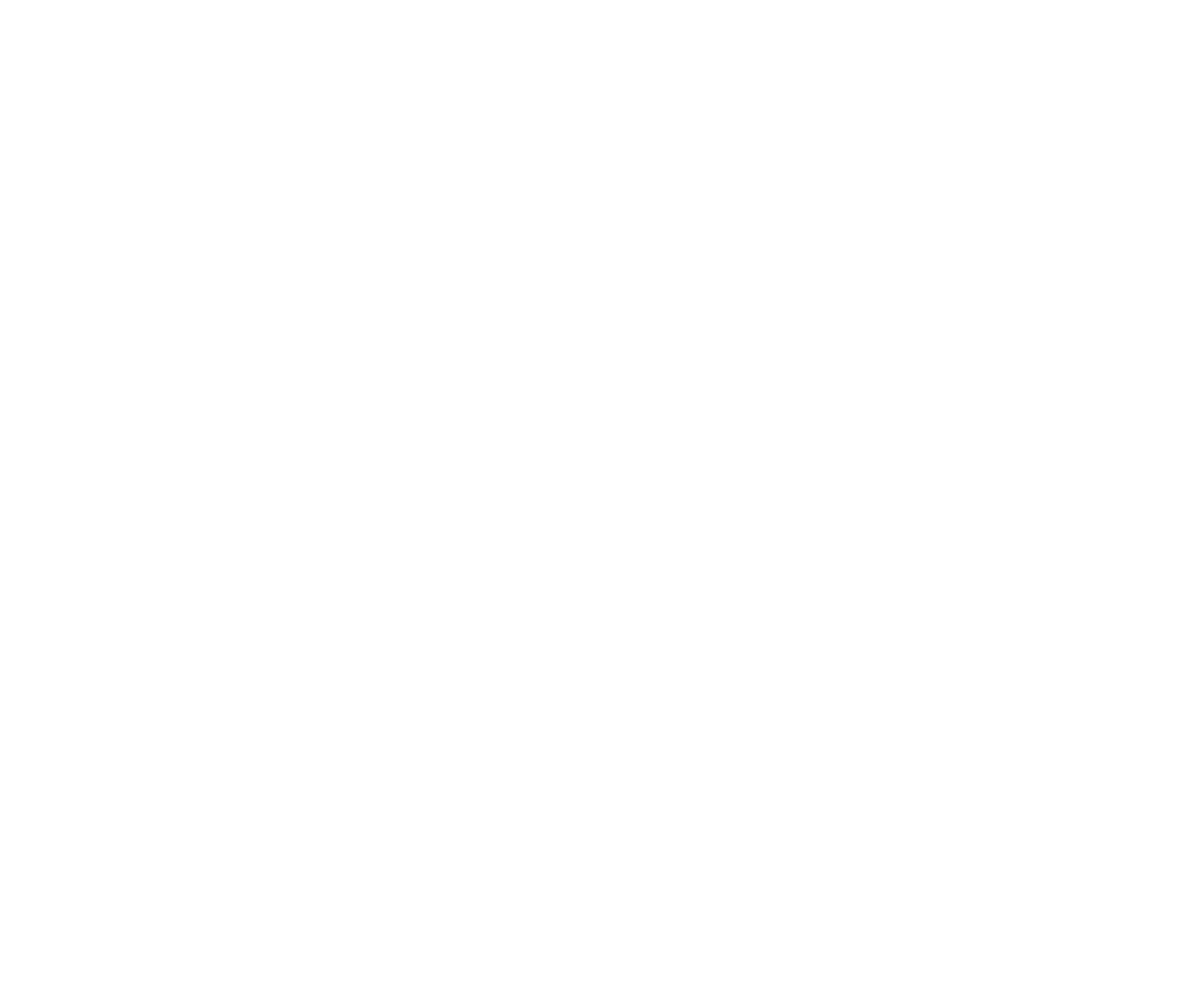 Logo MFX blanc